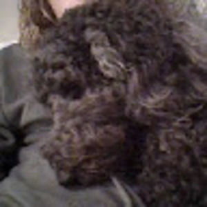 Meet your Posher, Lily